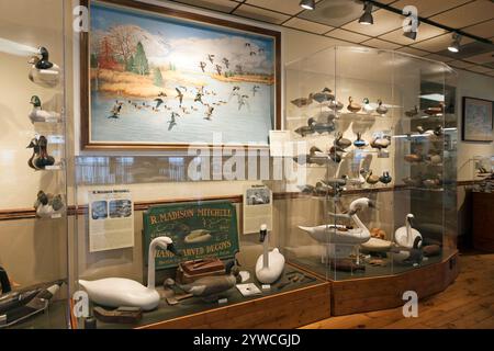 Havre de Grace Decoy Museum, Hauptstadt der Welt, zeigt Arbeits- und Dekorative Decoys der Chesapeake Bay in Maryland, USA. Stockfoto