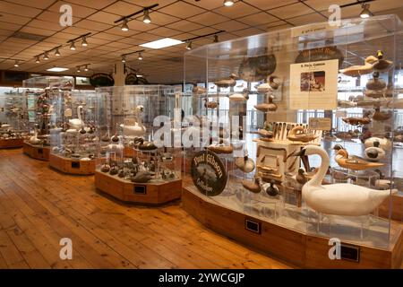 Havre de Grace Decoy Museum, Hauptstadt der Welt, zeigt Arbeits- und Dekorative Decoys der Chesapeake Bay in Maryland, USA. Stockfoto