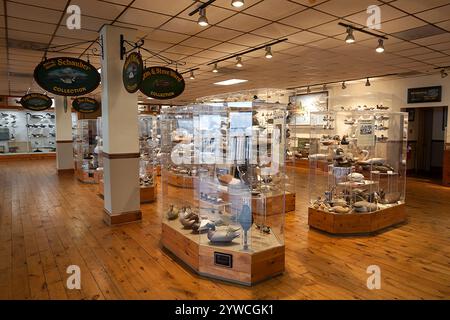 Havre de Grace Decoy Museum, Hauptstadt der Welt, zeigt Arbeits- und Dekorative Decoys der Chesapeake Bay in Maryland, USA. Stockfoto