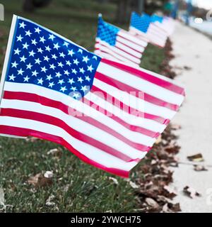 Am Veterans Day 2024 in Ludington, Michigan, USA, wurden viele Little USA Flags entlang des Bürgersteigs der Ludington Avenue platziert. Stockfoto