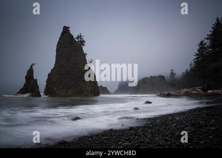 Sea Stacks an der Rialto Beach, Olympic National Park, Washington. Stockfoto