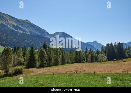 Majestätische Sommerberglandschaft mit üppigen grünen Alpenwiesen unter klarem blauen Himmel. Malerische Natur mit Rolling Hills und unberührter Natur Stockfoto
