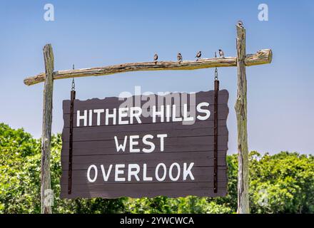 Hither Hills West-Aussichtstafel mit Vögeln darauf Stockfoto