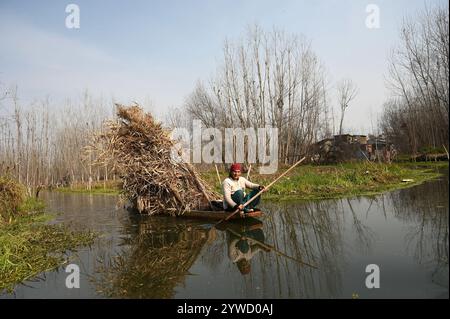 Srinagar, Indien. Dezember 2024. SRINAGAR, INDIEN – 10. DEZEMBER: Eine Frau rudert am 10. Dezember 2024 im Wasser des Anchar Lake am Stadtrand von Srinagar, Indien. Cold Wave Grips Kashmir, als kälteste Nacht der Srinagar Records Saison bei minus 5,4 Grad celsius. (Foto: Waseem Andrabi/Hindustan Times/SIPA USA) Credit: SIPA USA/Alamy Live News Stockfoto