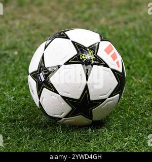 Leverkusen, Nordrhein-Westfalen, Deutschland. Dezember 2024. Vor dem Spiel der UEFA Champions League am 6. Spieltag zwischen Bayer Leverkusen und Inter Mailand in der BayArena in Leverkusen am 10. Dezember 2024 steht ein Ball auf dem Spielfeld. (Kreditbild: © Kai Dambach/ZUMA Press Wire) NUR REDAKTIONELLE VERWENDUNG! Nicht für kommerzielle ZWECKE! Stockfoto