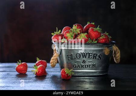 Frische Erdbeeren aus dem Garten auf dunklem Holzbrett - dunkle und stimmungsvolle Fotos Stockfoto