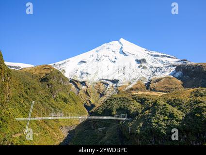 Wanganui Gorge Bridge, 100 Meter lange Hängebrücke auf der Taranaki Maunga. Neuseeland. Stockfoto