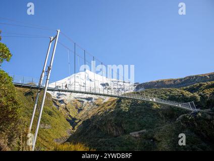 Touristenspaziergang auf der Hängebrücke der Wanganui Gorge. Schneebedeckter Berg Taranaki im Hintergrund. Taranaki. Neuseeland. Stockfoto