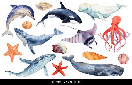 Aquarellset von Bewohnern der Meere und Ozeane. Stockfoto