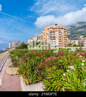 Blick auf die Promenade Digue de Fontvieille. Fürstentum Monaco Stockfoto