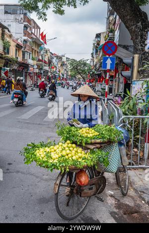 Vietnam, Hanoi, 14.02.2024, Straße, Markt, Obst, Obstverkäufer, Fahrrad, traditionelle Kleidung, vietnamesischer Strohhut, Foto von Jean-Yves Bardin Stockfoto