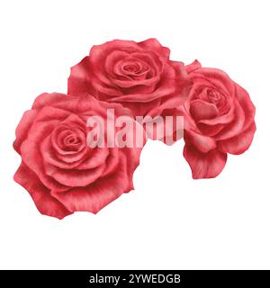 Rote Rosen im halbrunden Arrangement im realistischen Stil in Aquarelltechnik als Symbol für Liebe, Leidenschaft, Begehren. Handgezeichnetes Aquarell Stockfoto