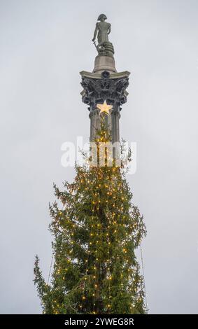 Dezember 2024. Norwegischer Fichte Weihnachtsbaum, Trafalgar Square, London, Großbritannien, zum 77. Jahrestag der Schenkung eines Weihnachtsbaums an London von Oslo Stockfoto