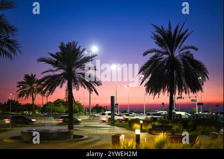 Fantastischer warmer Sonnenuntergang mit Palmen in Abu Dhabi, VAE Stockfoto