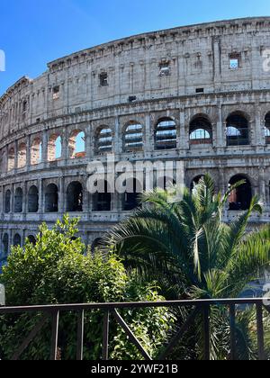 Ein atemberaubender Blick auf das historische Kolosseum in Rom, Italien, mit antiker Architektur umgeben von lebendigen grünen Pflanzen und einer klaren blauen Ske Stockfoto