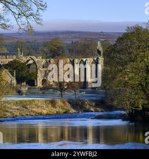 Bolton Abbey (wunderschöne historische mittelalterliche Ruine am Fluss, Nebel hoch auf Mooren und Hügeln, frostiger Herbsttag) - Wharfedale Yorkshire Dales, England, Großbritannien. Stockfoto