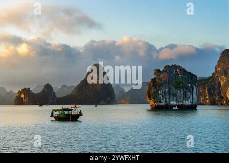 Blick über die Karstfelsen in Ha Long Bay, Vietnam Stockfoto