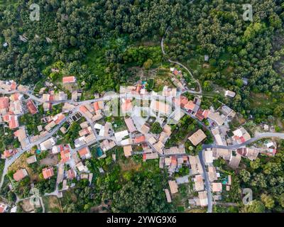 Aus der Vogelperspektive auf ein malerisches Dorf inmitten eines üppigen grünen Waldes. Stockfoto