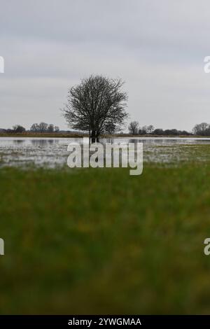 Der Fluss Ems tritt über Ufer. Anhaltender und intensiver Regen hat große Flächen von Feldern und Wiesen bei Rhede Niedersachsen unter Wasser gesetzt. Da der Pegelstand der Ems hoch ist, kann das Wasser zurzeit nicht ungehindert von den umliegenden Flächen abfließen. Leer Niedersachsen Deutschland *** die Ems platzt über ihre Ufer anhaltender und intensiver Regen hat große Felder und Wiesen bei Rhede Niedersachsen überschwemmt da der Wasserstand der Ems hoch ist, kann das Wasser derzeit nicht ungehindert aus den umliegenden Gebieten leer Niedersachsen Deutschland Urheberrecht: Xdiebildwerftx Stockfoto