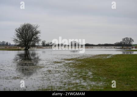 Der Fluss Ems tritt über Ufer. Anhaltender und intensiver Regen hat große Flächen von Feldern und Wiesen bei Rhede Niedersachsen unter Wasser gesetzt. Da der Pegelstand der Ems hoch ist, kann das Wasser zurzeit nicht ungehindert von den umliegenden Flächen abfließen. Leer Niedersachsen Deutschland *** die Ems platzt über ihre Ufer anhaltender und intensiver Regen hat große Felder und Wiesen bei Rhede Niedersachsen überschwemmt da der Wasserstand der Ems hoch ist, kann das Wasser derzeit nicht ungehindert aus den umliegenden Gebieten leer Niedersachsen Deutschland Urheberrecht: Xdiebildwerftx Stockfoto