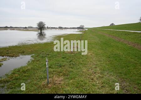 Der Fluss Ems tritt über Ufer. Anhaltender und intensiver Regen hat große Flächen von Feldern und Wiesen bei Rhede Niedersachsen unter Wasser gesetzt. Da der Pegelstand der Ems hoch ist, kann das Wasser zurzeit nicht ungehindert von den umliegenden Flächen abfließen. Leer Niedersachsen Deutschland *** die Ems platzt über ihre Ufer anhaltender und intensiver Regen hat große Felder und Wiesen bei Rhede Niedersachsen überschwemmt da der Wasserstand der Ems hoch ist, kann das Wasser derzeit nicht ungehindert aus den umliegenden Gebieten leer Niedersachsen Deutschland Urheberrecht: Xdiebildwerftx Stockfoto