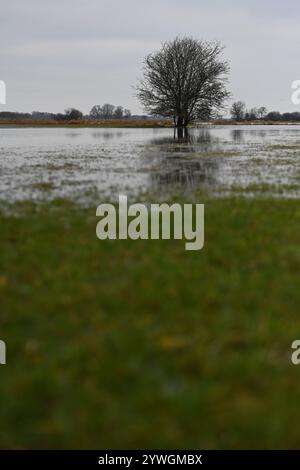 Der Fluss Ems tritt über Ufer. Anhaltender und intensiver Regen hat große Flächen von Feldern und Wiesen bei Rhede Niedersachsen unter Wasser gesetzt. Da der Pegelstand der Ems hoch ist, kann das Wasser zurzeit nicht ungehindert von den umliegenden Flächen abfließen. Leer Niedersachsen Deutschland *** die Ems platzt über ihre Ufer anhaltender und intensiver Regen hat große Felder und Wiesen bei Rhede Niedersachsen überschwemmt da der Wasserstand der Ems hoch ist, kann das Wasser derzeit nicht ungehindert aus den umliegenden Gebieten leer Niedersachsen Deutschland Urheberrecht: Xdiebildwerftx Stockfoto