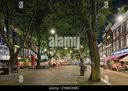 Thorbeckeplein Platz mit vielen Bars, beleuchtet bei Nacht, Amsterdam, Nordholland, Niederlande Stockfoto
