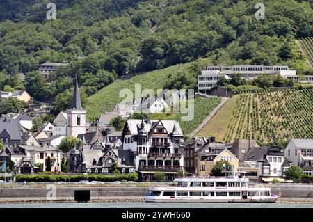 Assmannshausen, UNESCO-Weltkulturerbe Kulturlandschaft Oberes Mittelrheintal, Weltkulturerbe, Hessen, Deutschland, Europa Stockfoto