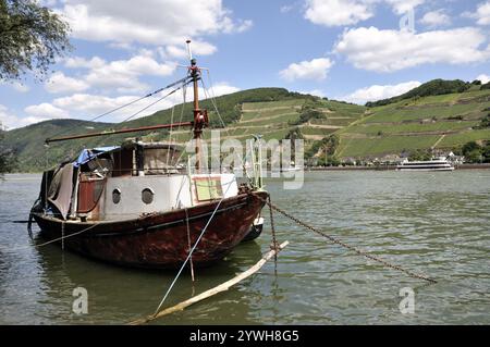 Schiffswrack gegenüber Assmannshausen, UNESCO-Weltkulturerbe Kulturlandschaft Oberes Mittelrheintal, Weltkulturerbe, Rheinland-Pfalz, Keim Stockfoto