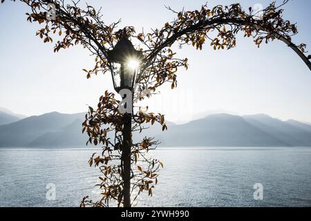 Seepromenade, Morgenstimmung, Frühling, Menaggio, Provinz Como, Comer See, Comer See, Lombardei, Italien, Europa Stockfoto