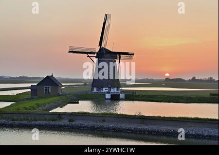 Historische Windmühle im Licht der untergehenden Sonne, de Traanroeier, Het Noorden Molen, Texel, Nordholland, Niederlande Stockfoto