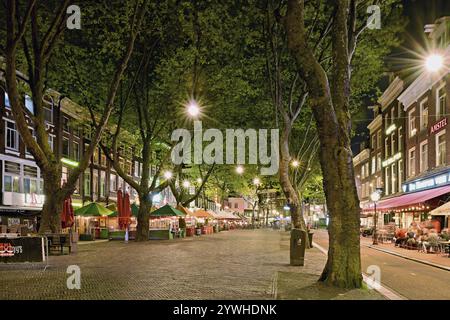 Thorbeckeplein Platz mit vielen Bars, beleuchtet bei Nacht, Amsterdam, Nordholland, Niederlande Stockfoto