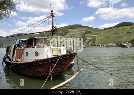 Schiffswrack gegenüber Assmannshausen, UNESCO-Weltkulturerbe Kulturlandschaft Oberes Mittelrheintal, Weltkulturerbe, Rheinland-Pfalz, Keim Stockfoto