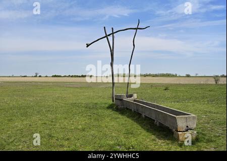 Ziehbrunnen, Illmitz, Nationalpark Neusiedler See, Seewinkel, Burgenland, Österreich, Europa Stockfoto