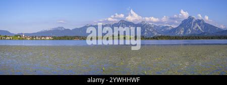 Hopfensee, dahinter Hopfen am See, Tegelberg, 1881 m, und Saeuling, 2047 m, Ostallgaeu, Allgaeu, Schwaben, Bayern, Deutschland, Europa Stockfoto