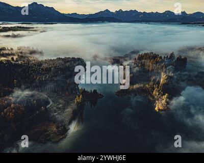 Herbstsonnenaufgang im Vorgebirge der Alpen mit Nebel am Illasbergsee und Forggensee bei Halblech in Allgäu, Bayern, Deutschland, Europa Stockfoto