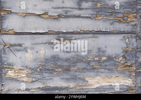 Alte Holztür mit abblätternder Farbe, Textur, Hintergrund, Apulien, Italien, Europa Stockfoto
