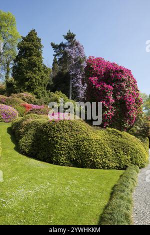 Botanischer Garten, Frühling, Villa Carlotta, Tremezzo, Provinz Como, Comer See, Comer See, Lombardei, Italien, Europa Stockfoto