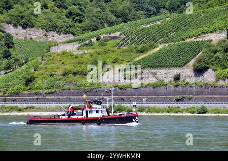 Weinberge bei Assmannshausen, UNESCO-Weltkulturerbe Kulturlandschaft Oberes Mittelrheintal, Weltkulturerbe, Hessen, Deutschland, Europa Stockfoto