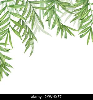 Aquarelle, die an Zweigen der Pflanzen hängen. Rahmen für tropische Sommerblätter mit Kopierraum für Text. . Bouquet mit Palmen- oder Rohrblättern Stockfoto