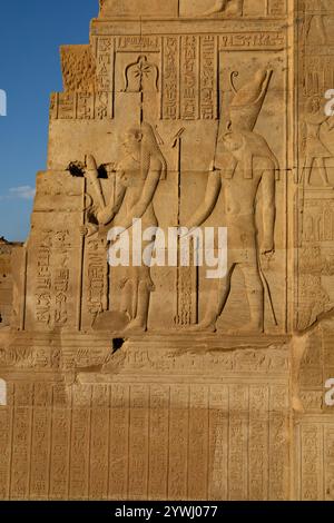 Reliefhieroglyphenschnitzereien der Göttin Seshat und des Falken, der Gott Hathorat angeführt hat, im altägyptischen Ptolemäentempel von KOM Ombo am Ufer des Th Stockfoto