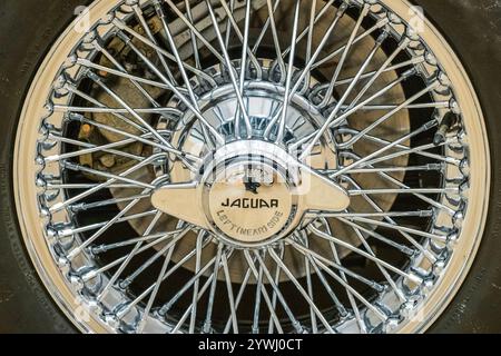 London, Großbritannien. Dezember 2024. 1952 Jaguar XK120 Roadster Fahrgestellnr 672276, Schätzung: £80.000 - £100.000 - Bonhams Cars' Bond Street Sale, Important Collectors' Motor Cars und Automobilia im New Bond Street saleroom. Die Auktion umfasst sowohl Automobilia als auch zeitgenössische und Veteranenautos. Der Verkauf findet am 12. Dezember statt. Guy Bell/Alamy Live News Stockfoto