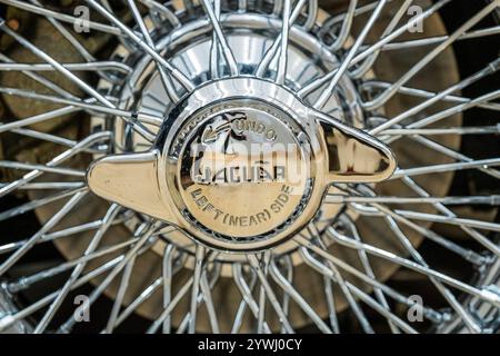 London, Großbritannien. Dezember 2024. 1952 Jaguar XK120 Roadster Fahrgestellnr 672276, Schätzung: £80.000 - £100.000 - Bonhams Cars' Bond Street Sale, Important Collectors' Motor Cars und Automobilia im New Bond Street saleroom. Die Auktion umfasst sowohl Automobilia als auch zeitgenössische und Veteranenautos. Der Verkauf findet am 12. Dezember statt. Guy Bell/Alamy Live News Stockfoto