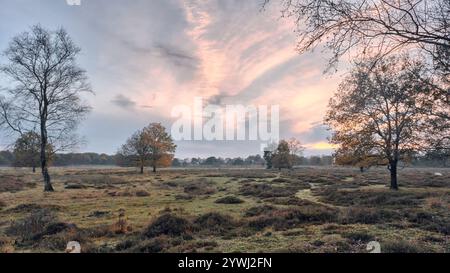 Ein malerischer Blick auf Pingo Het Nuilerveld in Drenthe mit farbenfrohen frühen Sonnenuntergang, Herbstbäumen und Heidelandschaft in einer ruhigen natürlichen Umgebung. Stockfoto