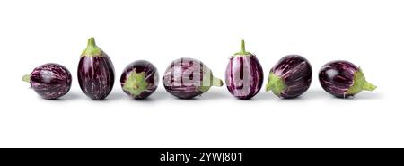 Frische rohe lila gestreifte Mini Auberginen in einer Reihe isoliert auf weißem Hintergrund Nahaufnahme Stockfoto