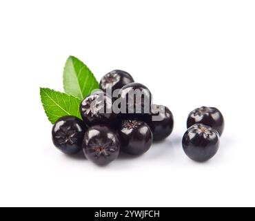 Aronia-Beeren mit Blättern auf weißem Hintergrund. Apfelbeere Stockfoto