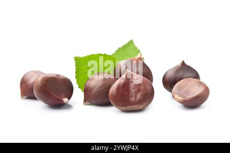 Kastanien mit Blättern auf weißem Hintergrund Stockfoto