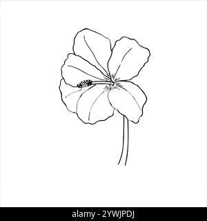 Tropisch blühender Hibiskus Silhouette Vektor isolierte Illustration. Einfarbige Strichzeichnung mit Blume auf Stiel. Blumenelement für Grußkarten Stock Vektor