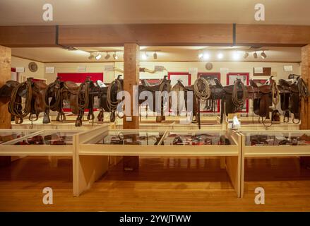 Craig, Colorado: Die Cowboy- und Gunfighter-Sammlung des Museum of Northwest Colorado ist mit Sätteln ausgestattet. Stockfoto