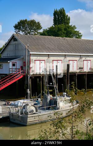 Historisches Scotch Pond Net Shed Niedrigwasser. Das historische Netzschuppen-Gebäude in Scotch Pond und ein Kiemennetz, das an das Dock gebunden ist, Steveston, British Columbia. Stockfoto